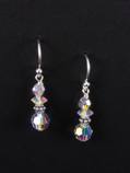 Small Drop Clear Earrings-