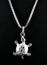 Turtle Necklace-Turtle necklaces